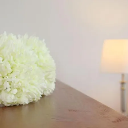 Appartement Haus Undine 05 Boltenhagen (Ostseebad)